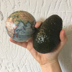A Globe for Ants